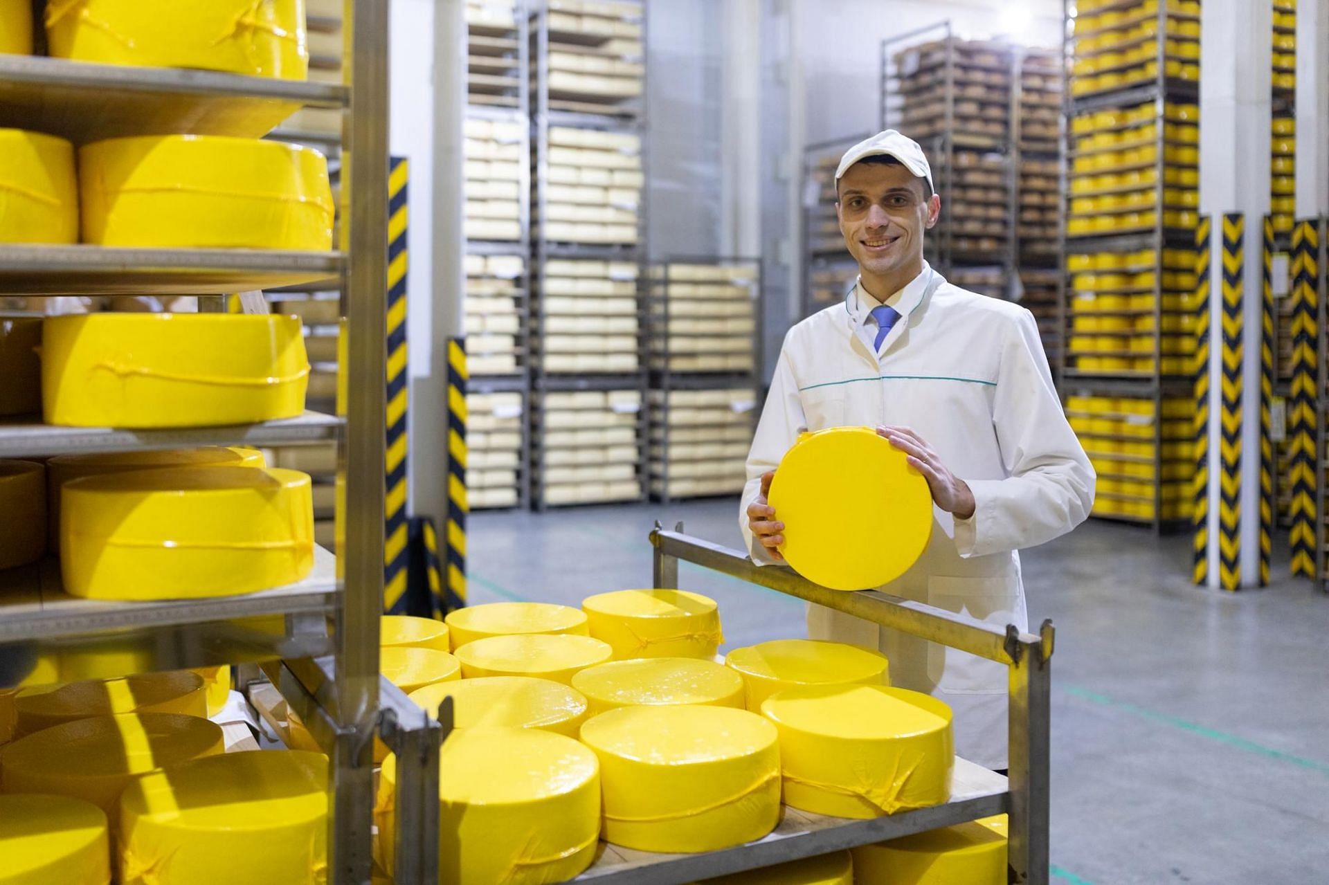 Gouda is made in a very unique and well-mannered process (Image by usertrmk on freepik)